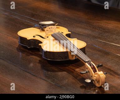 Unico violino di quercia Black Bog Foto Stock