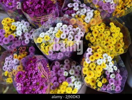 Molti crisantemi colorati da da Lat Vietnam. Mercato locale Foto Stock