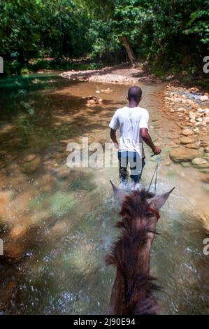 I turisti vanno alla cascata Cascada el Limon, Reading Terrenas, penisola Samana, Repubblica Dominicana Foto Stock