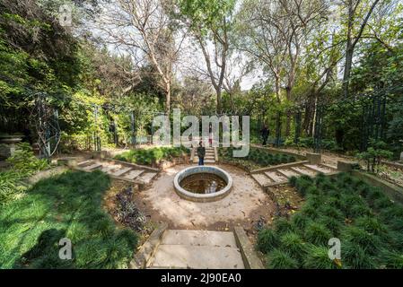 Città vecchia di Atene, Attica, Grecia - 12 28 2019 Vista panoramica su una piccola piantagione presso i giardini nazionali di Atene Foto Stock