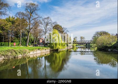 Paesaggi fluviali colorati alla passerella Greyfriars sul Loop of the Seven River a Shrewsbury Foto Stock