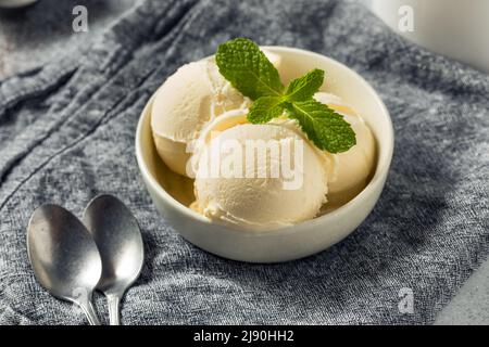 Gelato alla vaniglia surgelato fatto in casa pronto da mangiare Foto Stock