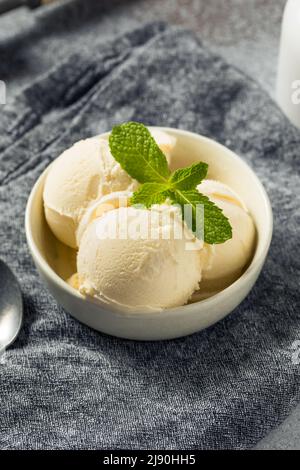 Gelato alla vaniglia surgelato fatto in casa pronto da mangiare Foto Stock