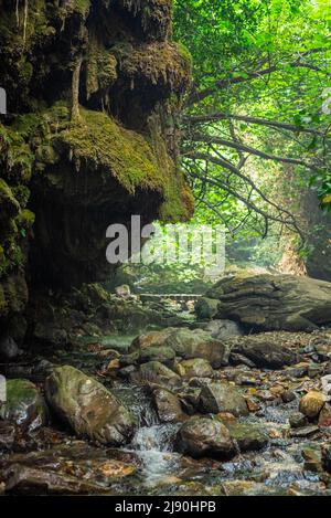 Impressionante vista sulla foresta e sul fiume nel Parco Nazionale delle Montagne di Kaz. Cascata di pianto (Aglayan Selale). Monte Ida, Balikesir, Edremit. Foto Stock