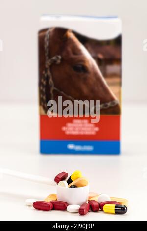 medicina del cavallo, vitamine domestiche dell'animale domestico, cura medica dell'animale domestico, fuoco del punto Foto Stock