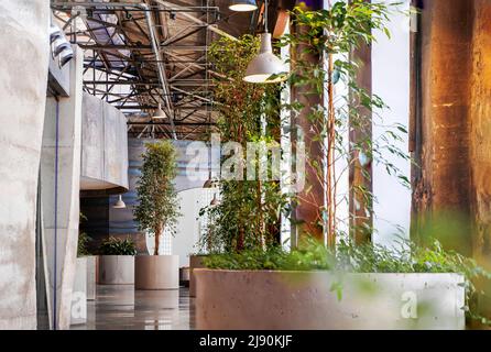 Interno contemporaneo di hall edificio industriale, decorato con piante verdi naturali, fuoco selettivo Foto Stock