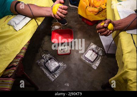 Tehatta, Bengala Occidentale, India. 9th maggio 2022. Tehatta Angikar Goshthi Club ha organizzato un campo volontario di donazione di sangue in collaborazione con la divisione Tehatta Bloodbank in occasione del 161st anniversario di nascita del premio Nobel per la poetessa indiana Rabindranath Tagore a Tehatta. (Credit Image: © Soumyabrata Roy/Pacific Press via ZUMA Press Wire) Foto Stock