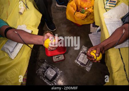 Tehatta, Bengala Occidentale, India. 9th maggio 2022. Tehatta Angikar Goshthi Club ha organizzato un campo volontario di donazione di sangue in collaborazione con la divisione Tehatta Bloodbank in occasione del 161st anniversario di nascita del premio Nobel per la poetessa indiana Rabindranath Tagore a Tehatta. (Credit Image: © Soumyabrata Roy/Pacific Press via ZUMA Press Wire) Foto Stock