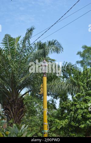 messa a fuoco selettiva di pali di lampada da giardino con sfondo ad albero Foto Stock