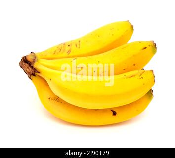 Mazzo di piccole banane delle Isole Canarie, Spagna Foto Stock