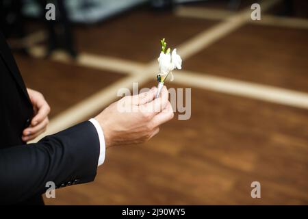 Matrimonio boutonniere nelle mani dello sposo. Foto Stock