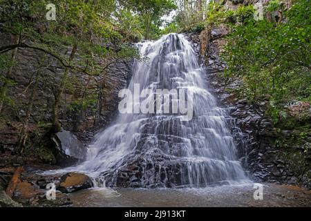 Cascate di 39 Steps, cascata a Hogsback, villaggio delle montagne di Amathole nella provincia orientale del Capo, Sudafrica Foto Stock