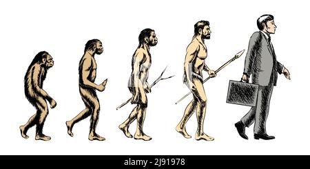 Evoluzione dell'uomo d'affari, silhouette della gente, evolve della scimmia della crescita, illustrazione vettoriale Illustrazione Vettoriale