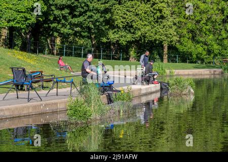 Northampton Regno Unito. 19th maggio 2022. Il club di pesca di Abington ha una partita serale tra le 6pm e le 9pm. Sul lago di Abington Park, con bel sole. Credit: Keith J Smith./Alamy Live News. Foto Stock