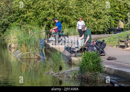 Northampton Regno Unito. 19th maggio 2022. Il club di pesca di Abington ha una partita serale tra le 6pm e le 9pm. Sul lago di Abington Park, con bel sole. Credit: Keith J Smith./Alamy Live News. Foto Stock