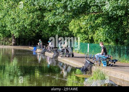 Northampton Regno Unito. 19th maggio 2022. Il club di pesca di Abington ha una partita serale tra le 6pm e le 9pm. Sul lago di Abington Park, con bel sole. Credit: Keith J Smith./Alamy Live News. Foto Stock