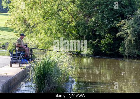 Northampton Regno Unito. 19th maggio 2022. Il club di pesca di Abington ha una partita serale tra le 6pm e le 9pm. Sul lago di Abington Park, con bel sole. Credit: Keith J Smith./Alamy Live News. Foto Stock