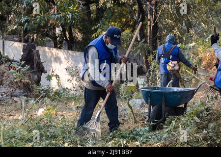 I vicini effettuano una giornata di pulizia in un burrone nella città di Puebla Foto Stock