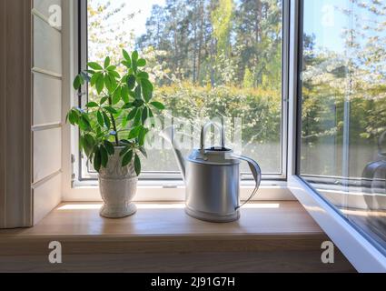 Finestra bianca con rete di mosuito in una casa rustica in legno Foto Stock