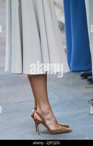 Madrid, Madrid, Spagna. 19th maggio 2022. La Regina Letizia di Spagna partecipa alla Conferenza Internazionale ''˜ponti delle Donne. Proposte del Sud per il cambiamento globale" al UNED Humanities Building il 19 maggio 2022 a Madrid, Spagna (Credit Image: © Jack Abuin/ZUMA Press Wire) Foto Stock