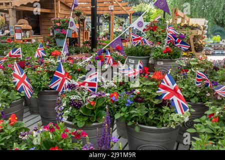 Vasi di fiori e piante con bandiere Union Jack in occasione del Giubileo del platino della Regina nel 2022, Millets Farm Garden Center, Inghilterra, Regno Unito Foto Stock