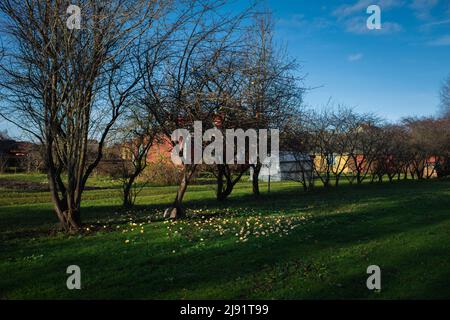 Orissaare, un piccolo borgo sull'isola di Saaremaa in Estonia Foto Stock