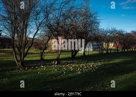 Orissaare, un piccolo borgo sull'isola di Saaremaa in Estonia Foto Stock