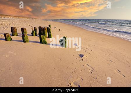 Grotte ricoperte di alghe la sera sulla spiaggia di Rantum, Sylt, Isole Frisie Settentrionali, Frisia Settentrionale, Schleswig-Holstein, Germania Foto Stock