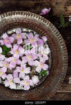 Vista dall'alto dei fiori di clematide rosa pastello in una ciotola d'epoca in metallo con acqua. Fiore, piante o concetto sano e rilassante. Stile rustico. Foto Stock