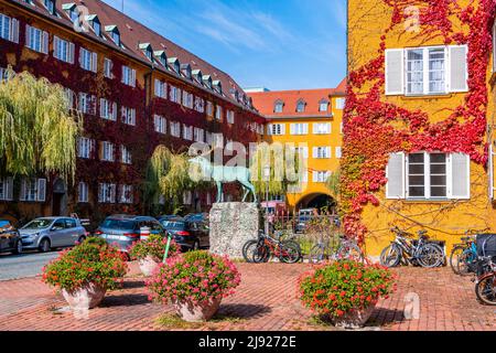 Appartamenti gialli, Borstei, patrimonio immobiliare, quartiere Moosach, Monaco, Baviera, Germania Foto Stock