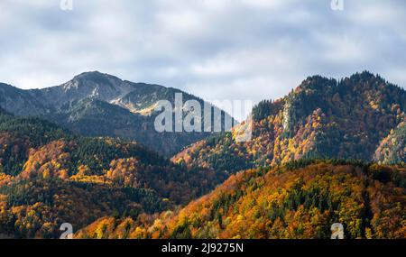 Montagne e foreste, colline alpine in autunno, Baviera, Germania Foto Stock