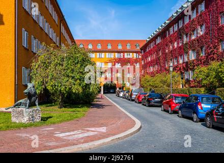 Appartamenti gialli, Borstei, patrimonio immobiliare, quartiere Moosach, Monaco, Baviera, Germania Foto Stock