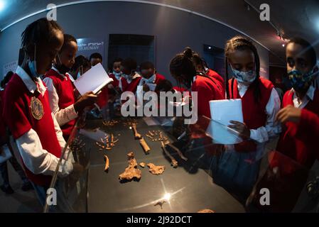 Addis Abeba, Etiopia. 18th maggio 2022. Gli studenti visitano il Museo Nazionale dell'Etiopia ad Addis Abeba, Etiopia, il 18 maggio 2022. Il museo ospita collezioni di preziosi ereditini, tra cui ossa fossilizzate di una femmina della specie hominin Australopithecus afarensis, chiamata 'Lucy', che si ritiene vivano circa 3,2 milioni di anni fa. Credit: Michael Tewelde/Xinhua/Alamy Live News Foto Stock