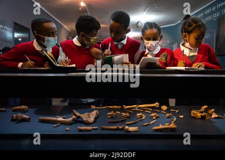 Addis Abeba, Etiopia. 18th maggio 2022. Gli studenti visitano il Museo Nazionale dell'Etiopia ad Addis Abeba, Etiopia, il 18 maggio 2022. Il museo ospita collezioni di preziosi ereditini, tra cui ossa fossilizzate di una femmina della specie hominin Australopithecus afarensis, chiamata 'Lucy', che si ritiene vivano circa 3,2 milioni di anni fa. Credit: Michael Tewelde/Xinhua/Alamy Live News Foto Stock