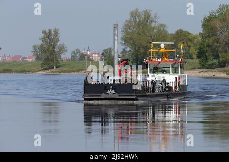 28.04.2020, Graditz, Sassonia, Germania - nave di risonanza dell'Amministrazione federale delle vie navigabili e della navigazione sull'Elba. 00S200428D340CAROEX.JPG [MODALITÀ Foto Stock