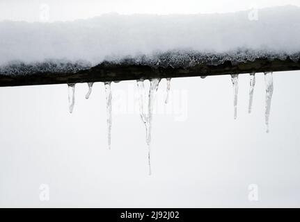 12.02.2021, Graditz, Sassonia, Germania - Icicle appese su una recinzione di legno innevata. 00S210212D433CAROEX.JPG [RELEASE MODELLO: NO, RELEASE PROPRIETÀ: N Foto Stock