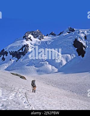 Ghiacciai blu sotto le cime orientali e mediane del Monte Olympus, Olympic National Park, Washington Foto Stock