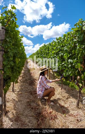 Paesaggio dei vigneti al tramonto con montagne a Stellenbosch, vicino a Città del Capo, Sudafrica. Uva da vino in vigna, donna in vigna Foto Stock