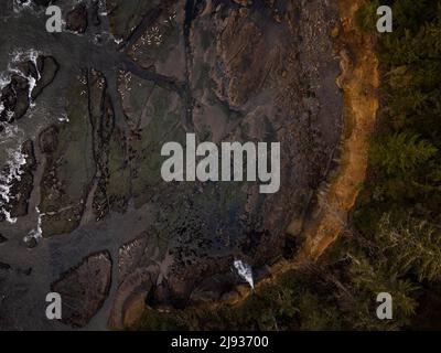 Colpo di drone. Riva rocciosa dell'oceano e foresta sulla riva. Toni scuri. Astrazione. Non ci sono persone nella foto. Geologia, geografia, topografia Foto Stock