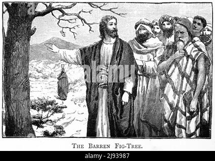 Incisione di Gesù con l'albero di fico arido Foto Stock