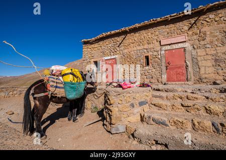 Rifugio Tarkeddit, trekking Ighil M'Goun, catena montuosa dell'Atlante, marocco, africa Foto Stock