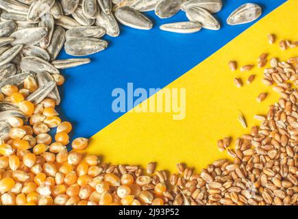 Grani di grano, mais e semi di girasole in un cerchio sulla bandiera gialla e blu dell'Ucraina, crisi di grano Ucraina, concetto globale di crisi della fame dovuto Foto Stock