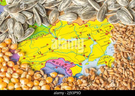 Grani di grano sulla mappa di Ucraina, crisi di grano ucraino, concetto globale di crisi della fame a causa della guerra Foto Stock