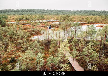 Lahemaa National Park, Estonia Foto Stock