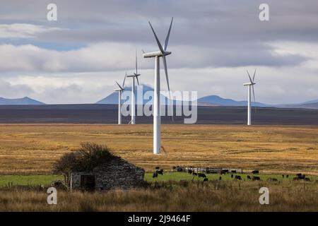 Una fattoria eolica a Sibster Burn, Halkirk, Caithness, Scozia, Regno Unito Foto Stock