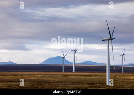 Una fattoria eolica a Sibster Burn, Halkirk, Caithness, Scozia, Regno Unito Foto Stock