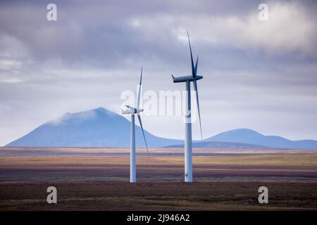 Una fattoria eolica a Sibster Burn, Halkirk, Caithness, Scozia, Regno Unito Foto Stock