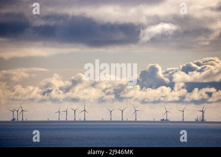 Beatrice Wind Farm nel Mare del Nord al largo della Caithness Coast, Scozia, Regno Unito Foto Stock