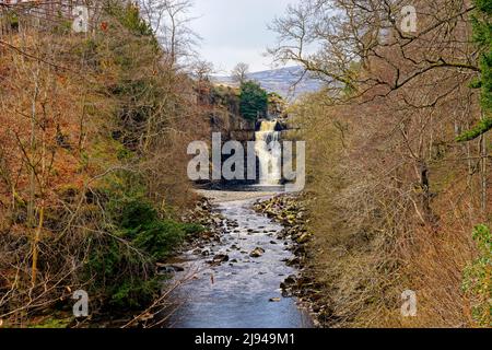 Il fiume Tees scorre sopra la cascata dell'alta forza poi in giù una valle boscosa. Foto Stock