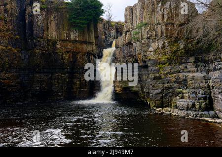 Il fiume Tees scende sopra la cascata dell'alta forza in una piscina poco profonda sottostante. Foto Stock